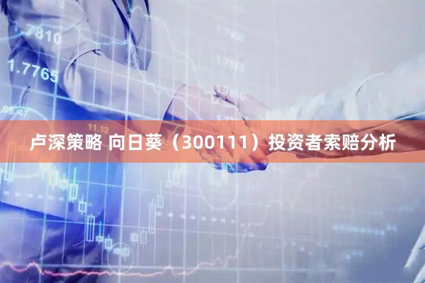 卢深策略 向日葵（300111）投资者索赔分析
